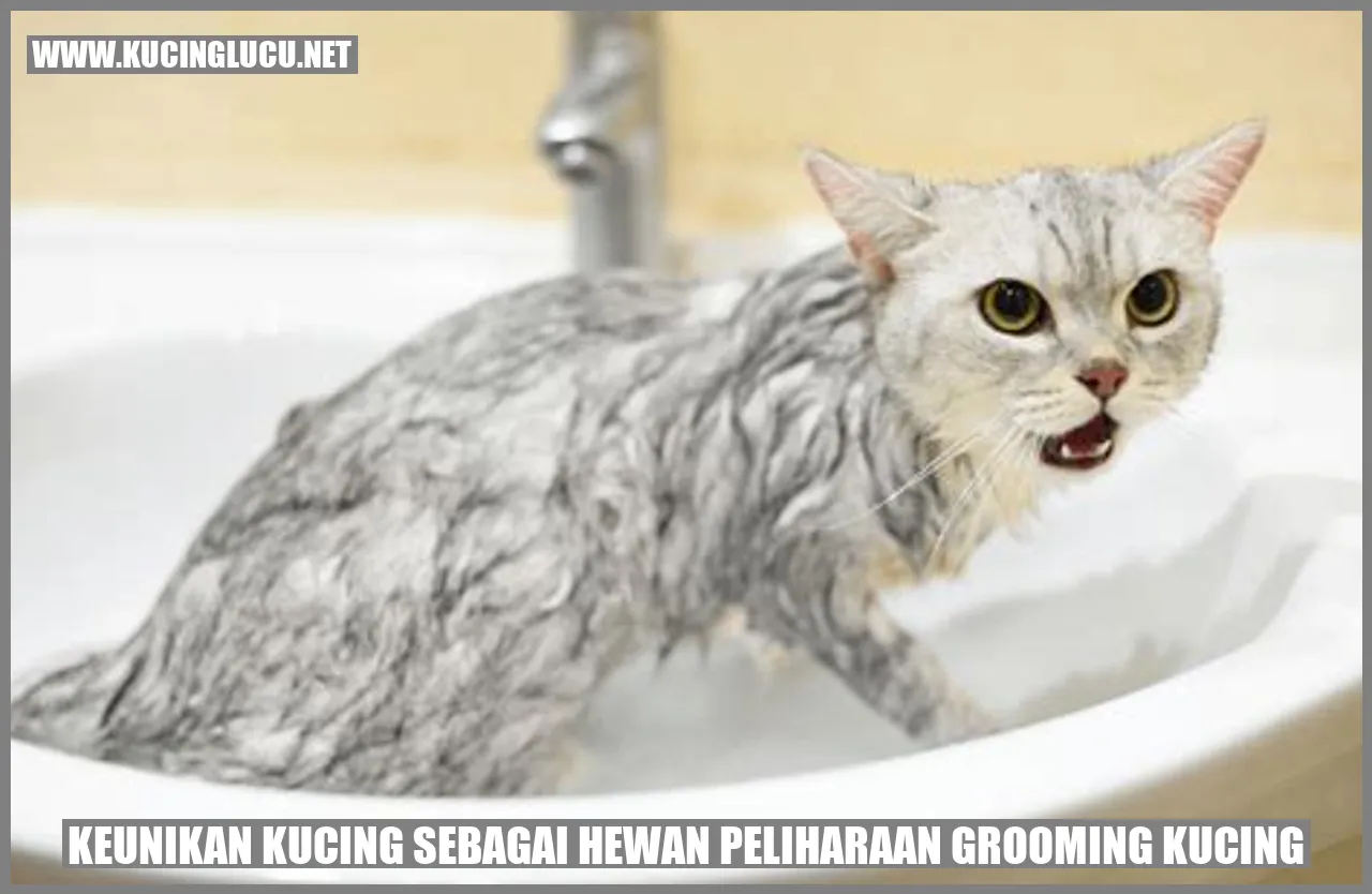 Keunikan Kucing sebagai Hewan Peliharaan grooming kucing
