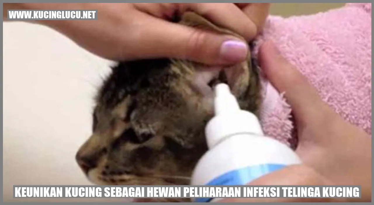 Keunikan Kucing sebagai Hewan Peliharaan infeksi telinga kucing