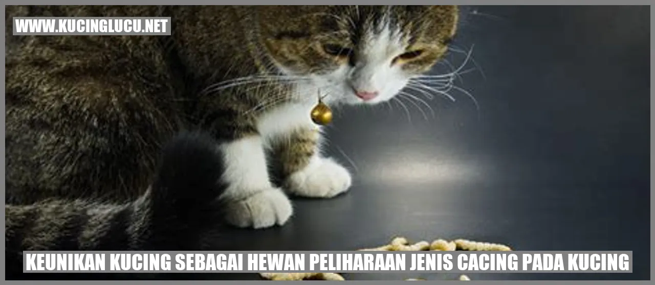 Keunikan Kucing sebagai Hewan Peliharaan jenis cacing pada kucing