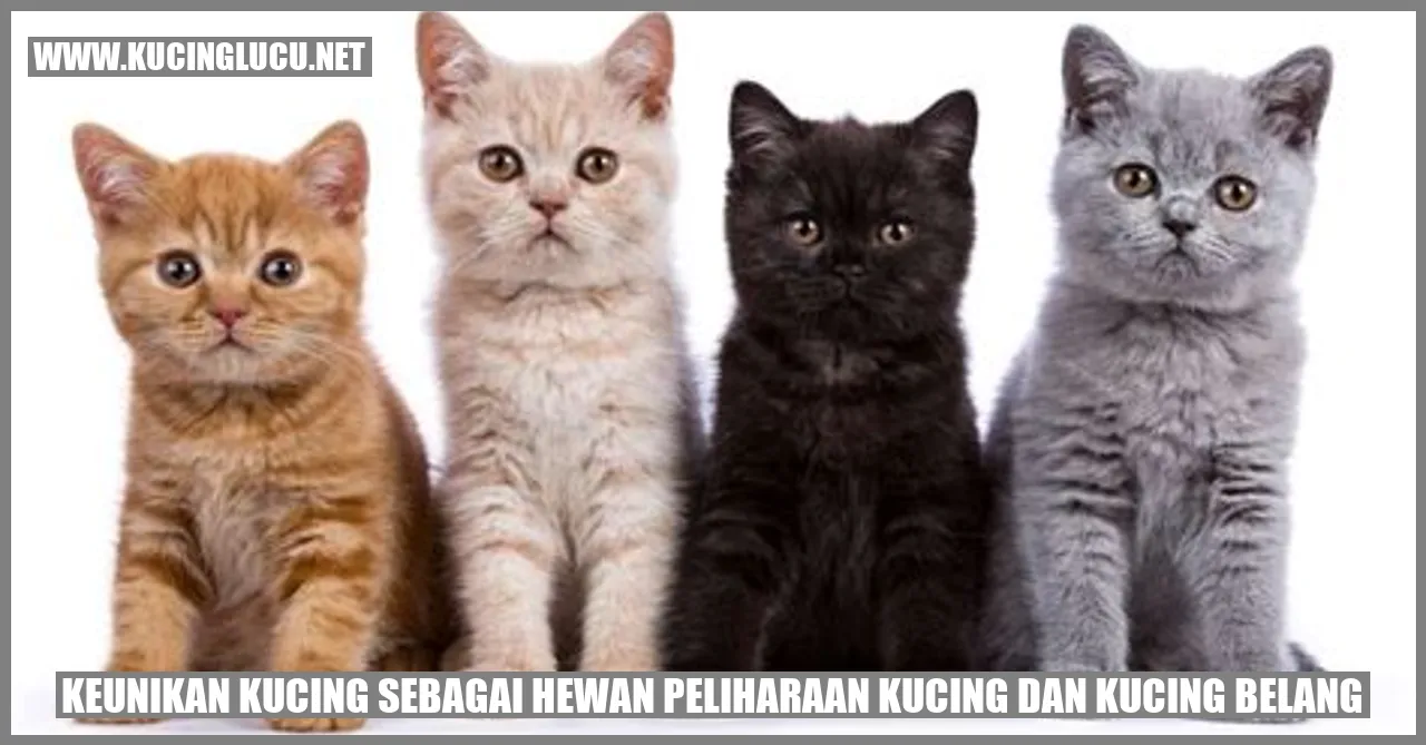 Keunikan Kucing sebagai Hewan Peliharaan Kucing dan kucing belang