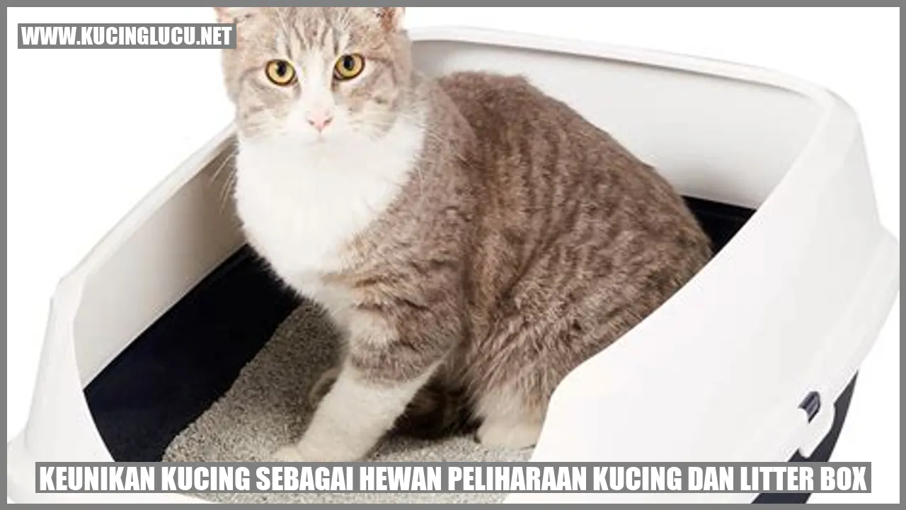 Kucing dan Litter Box