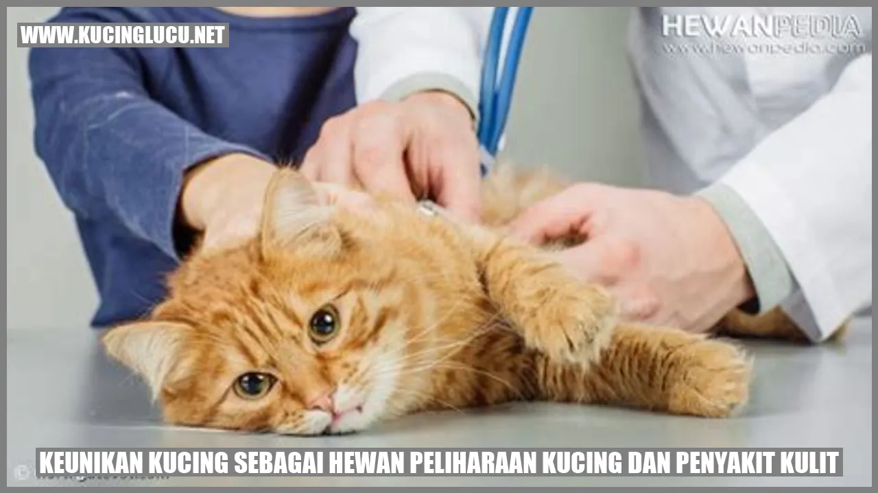 Keunikan Kucing sebagai Hewan Peliharaan dan Masalah Kulit