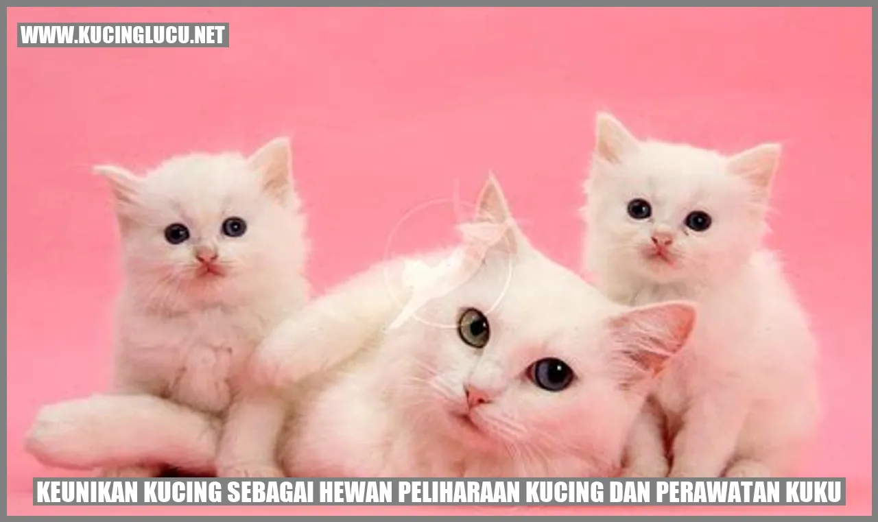 Keunikan Kucing sebagai Hewan Peliharaan Kucing dan perawatan kuku