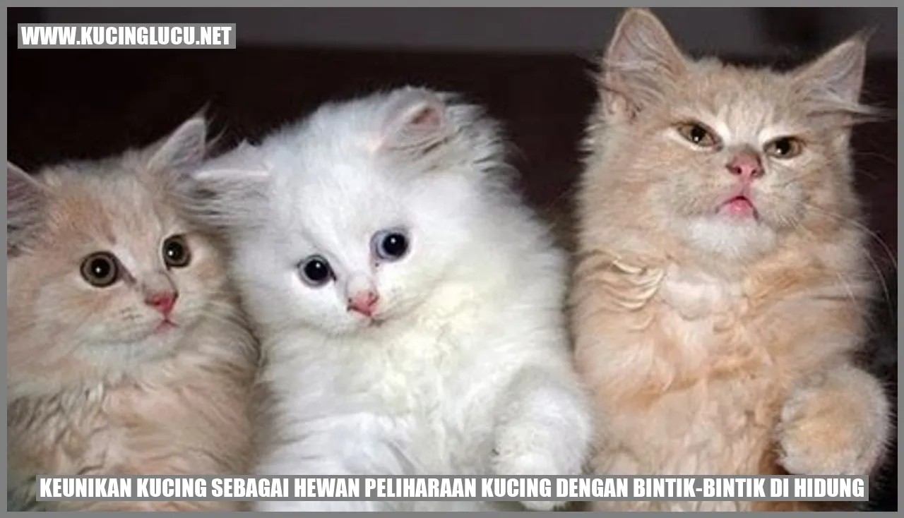 Kucing dengan Bintik-Bintik di Hidung