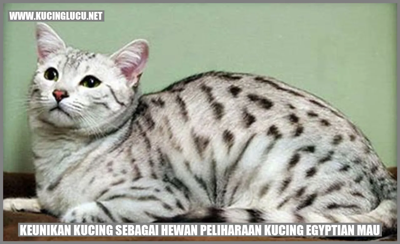 Keunikan Kucing Egyptian Mau sebagai Hewan Peliharaan