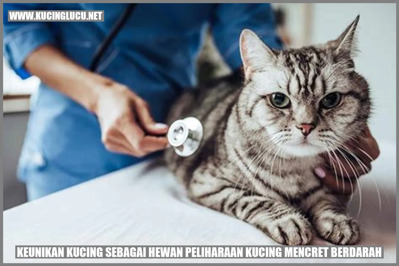 Keistimewaan Kucing sebagai Hewan Peliharaan