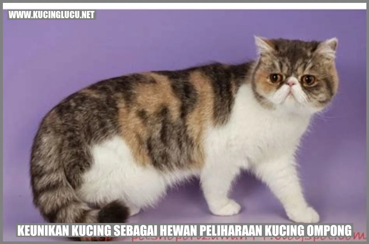 Keistimewaan Kucing sebagai Hewan Peliharaan
