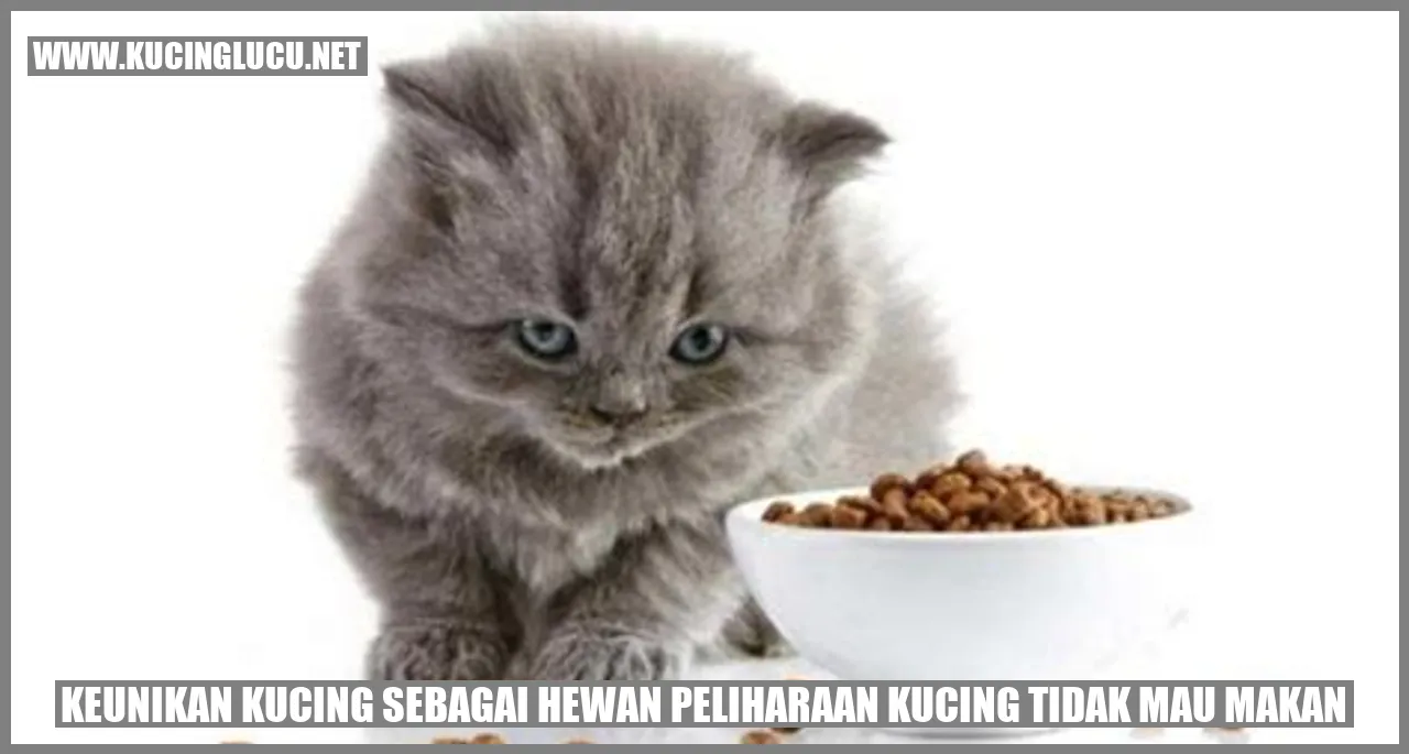 Kucing yang Enggan Makan