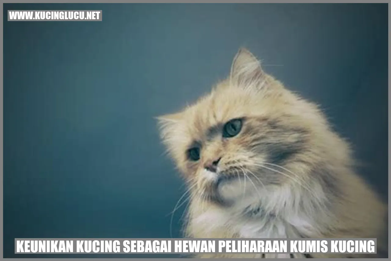 Keunikan Kucing sebagai Hewan Peliharaan kumis kucing