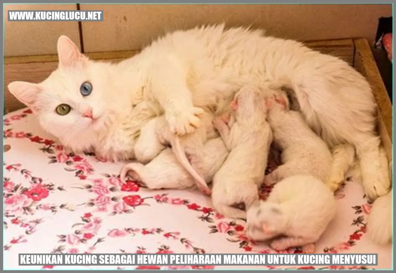 Keunikan Kucing sebagai Hewan Peliharaan