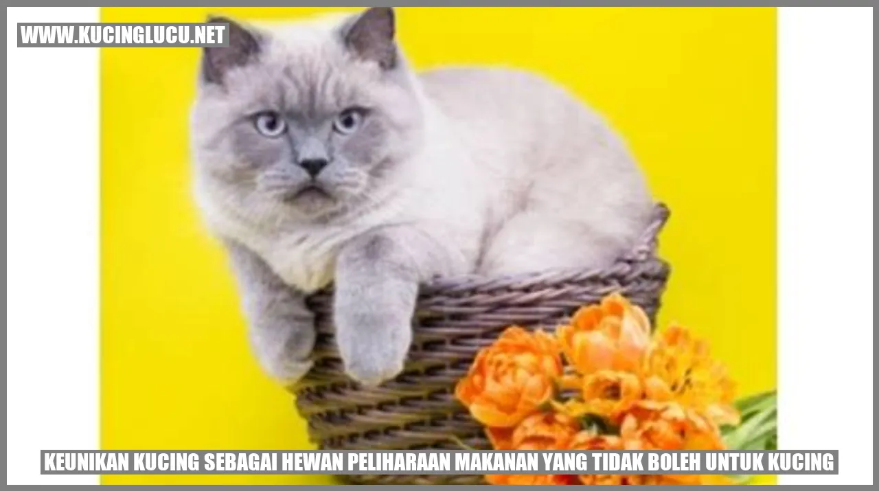 Keistimewaan Kucing sebagai Hewan Peliharaan
