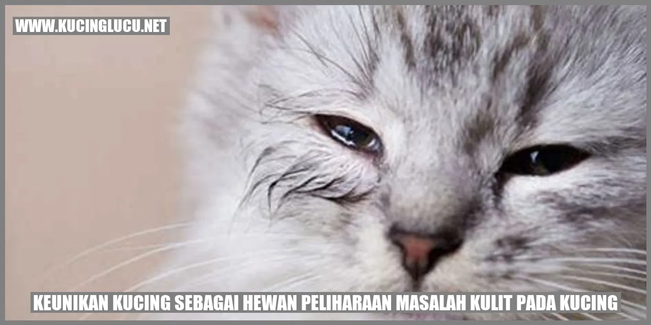 Kucing mengalami masalah kulit