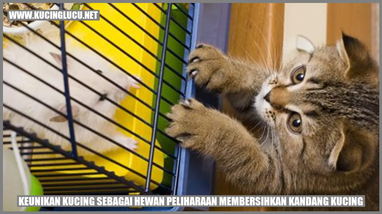 Kucing membersihkan kandang