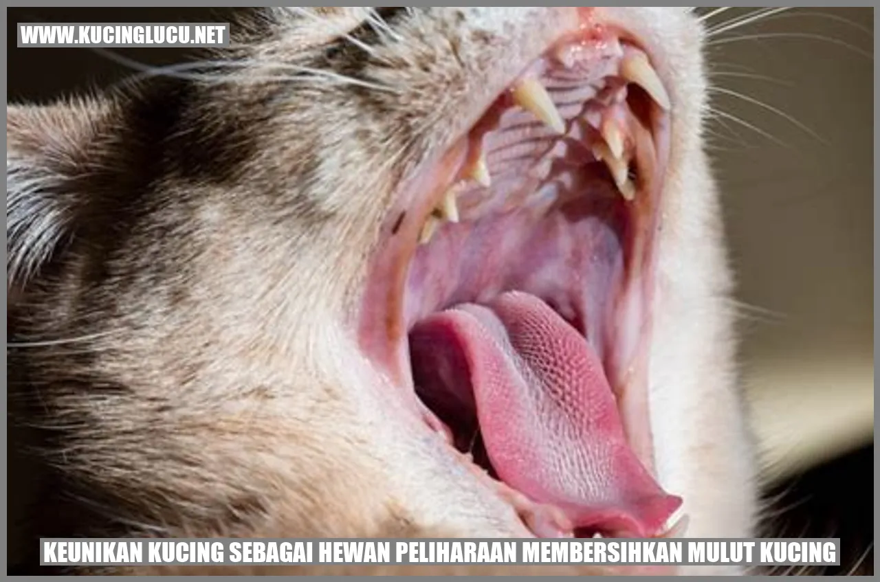 Keunikan Kucing dalam Membersihkan Mulutnya