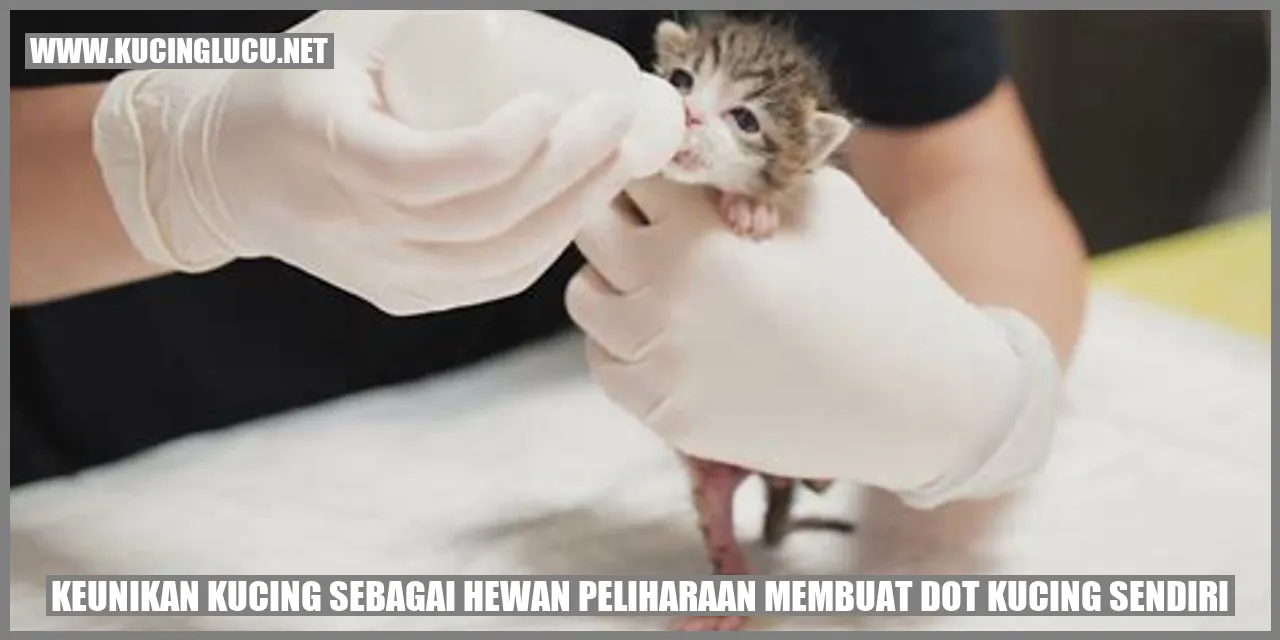 Kucing Membuat Dot Kucing Sendiri
