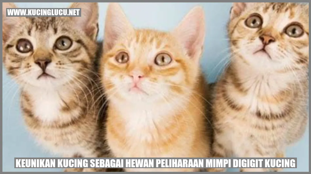 Keistimewaan Kucing sebagai Hewan Peliharaan