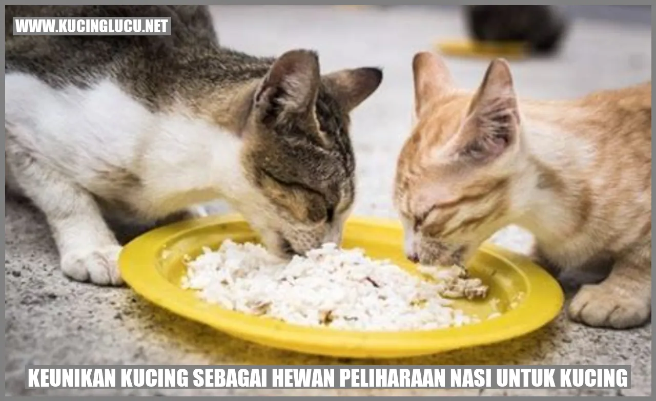 kucing sebagai hewan peliharaan