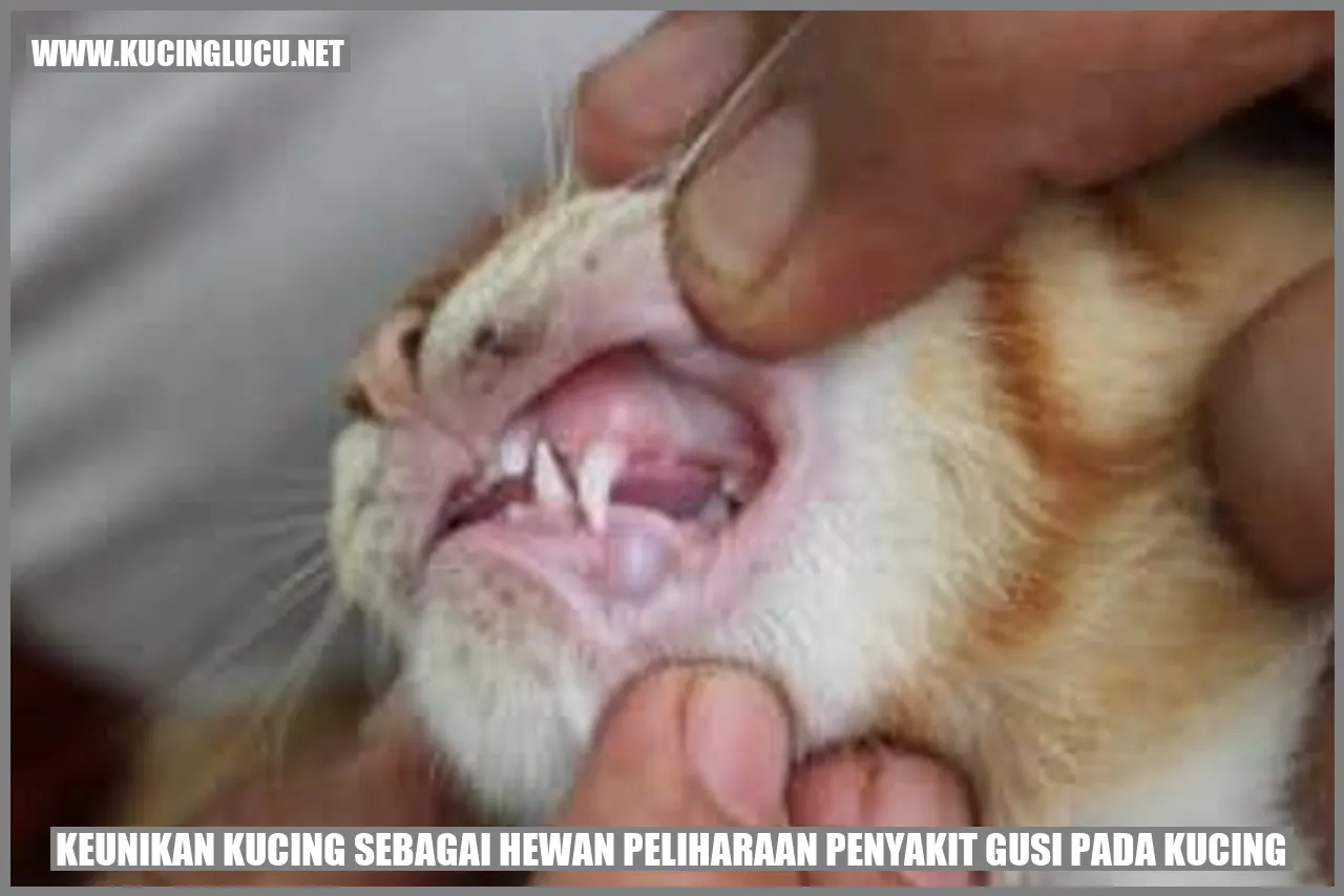 Keunikan Kucing sebagai Hewan Peliharaan penyakit gusi pada kucing