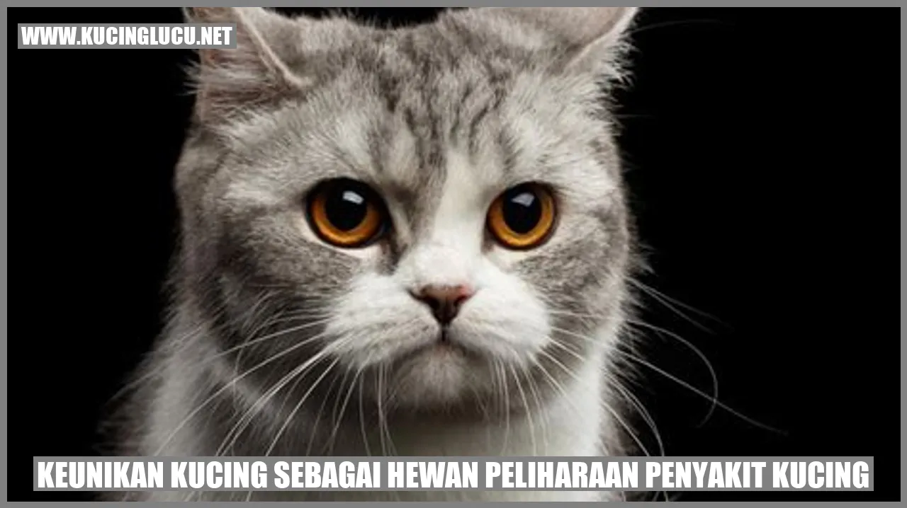 Gambar Kucing