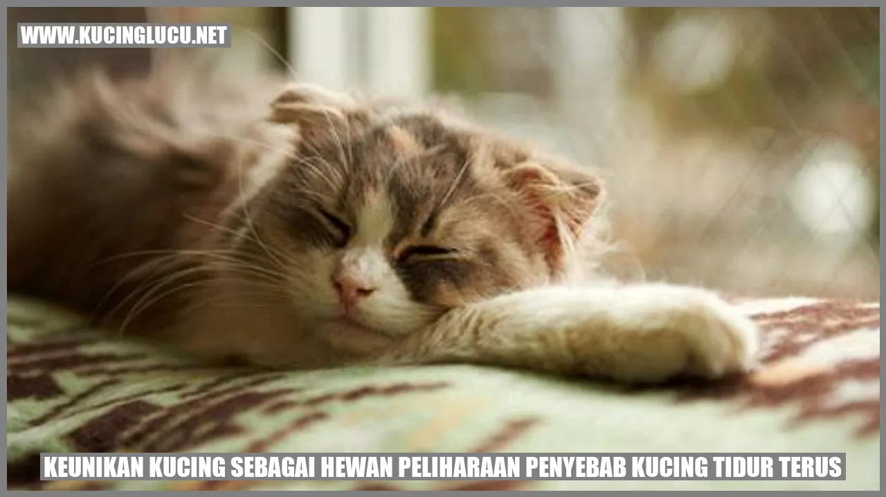 Paragraf tentang keunikan kucing sebagai hewan peliharaan