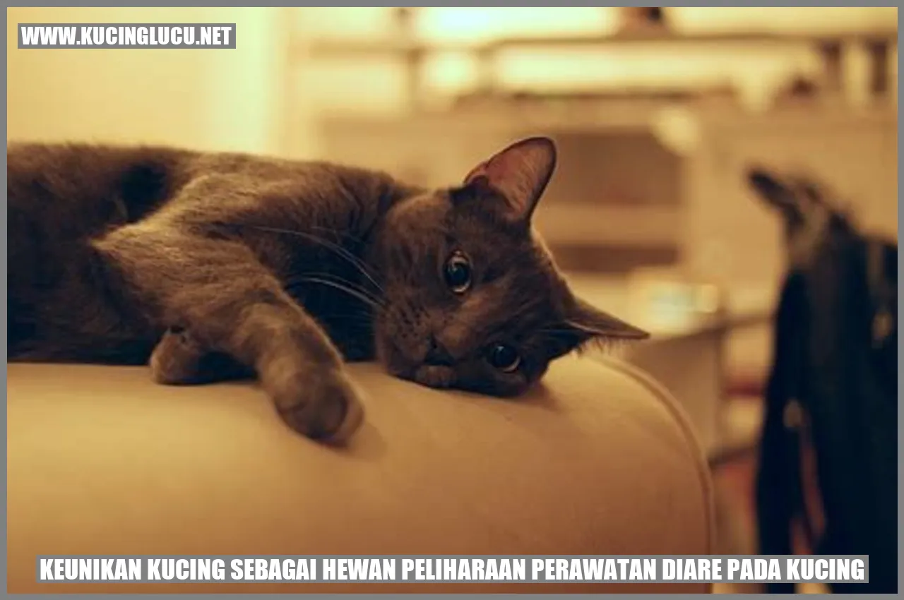 Kucing Menggemaskan