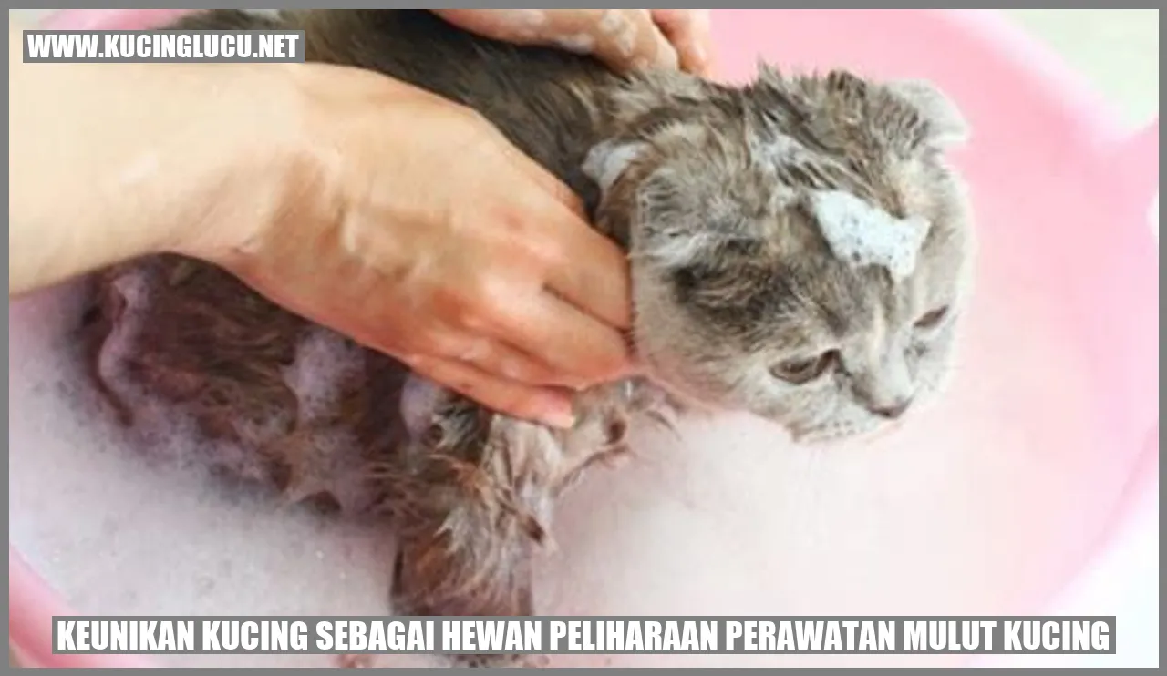 Kucing menggosok gigi