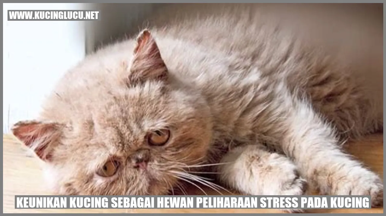 Kecanggihan Kucing sebagai Hewan Peliharaan stres pada kucing