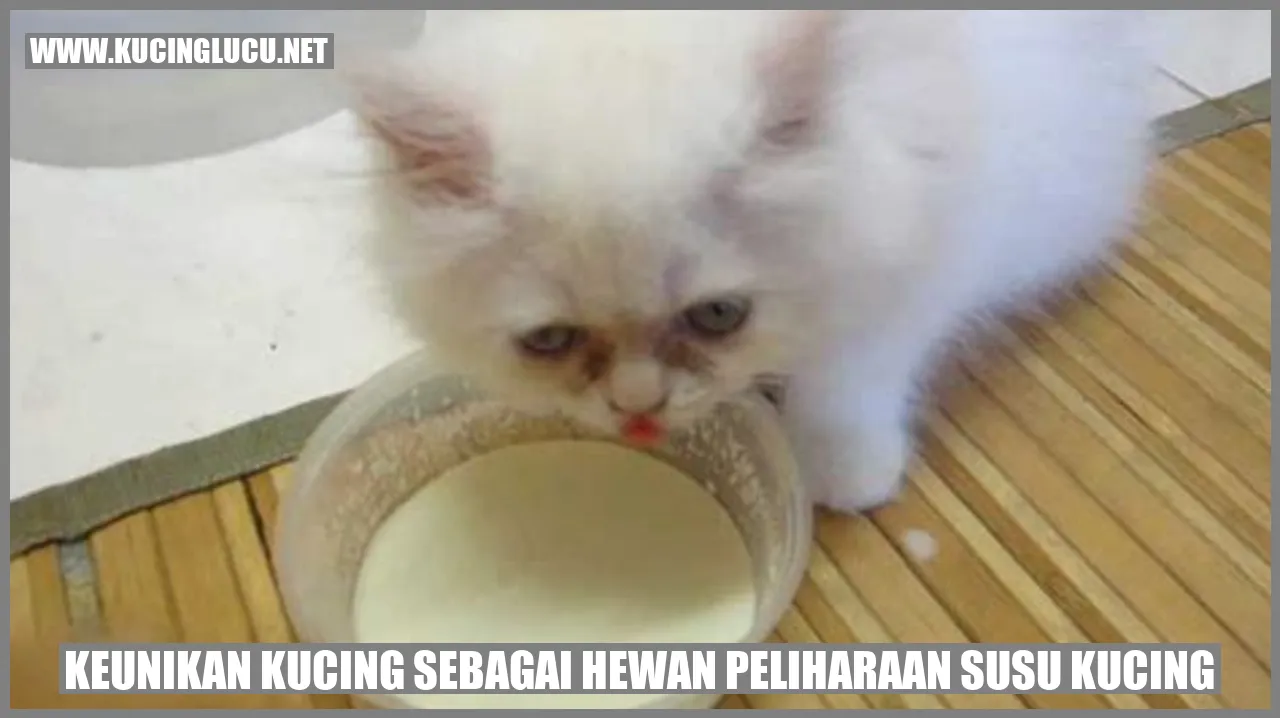 Gambar kucing peliharaan