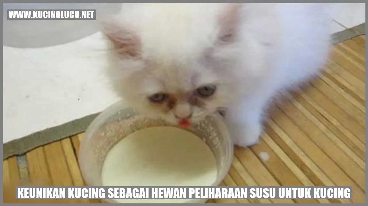 Keunikan Kucing
