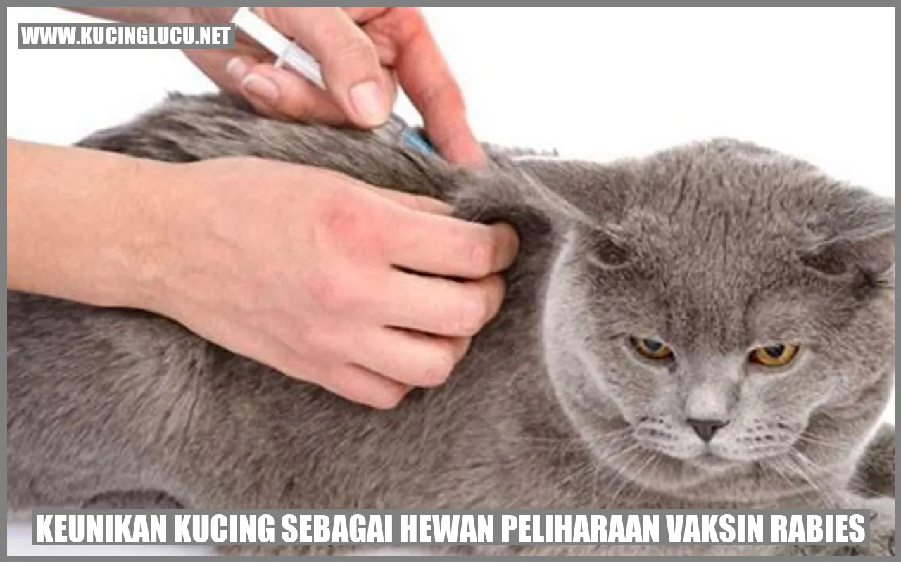 Keunikan Kucing sebagai Hewan Peliharaan vaksin rabies
