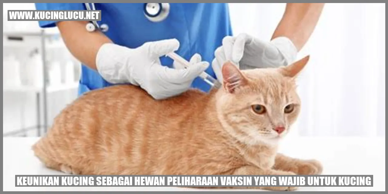 gambar kucing