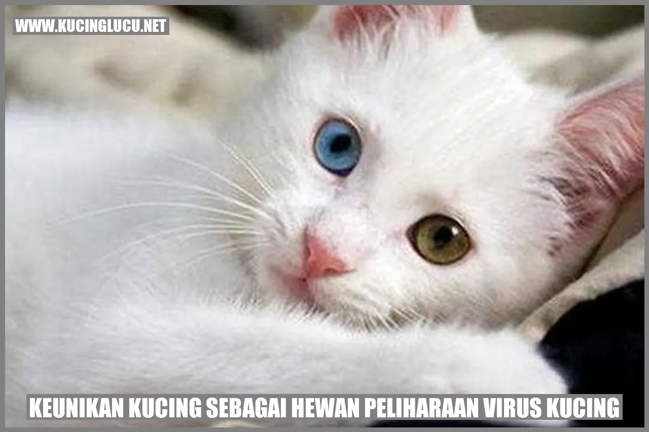 Keistimewaan Kucing sebagai Hewan Peliharaan