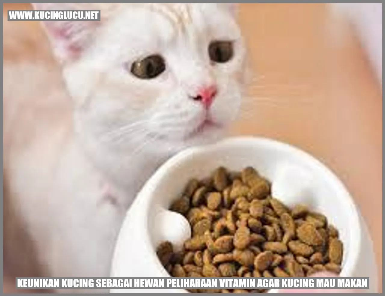 Kucing Lucu