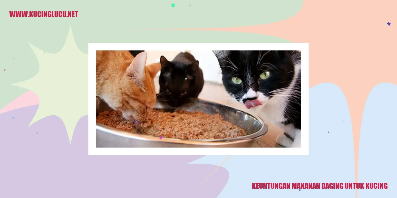 gambar daging