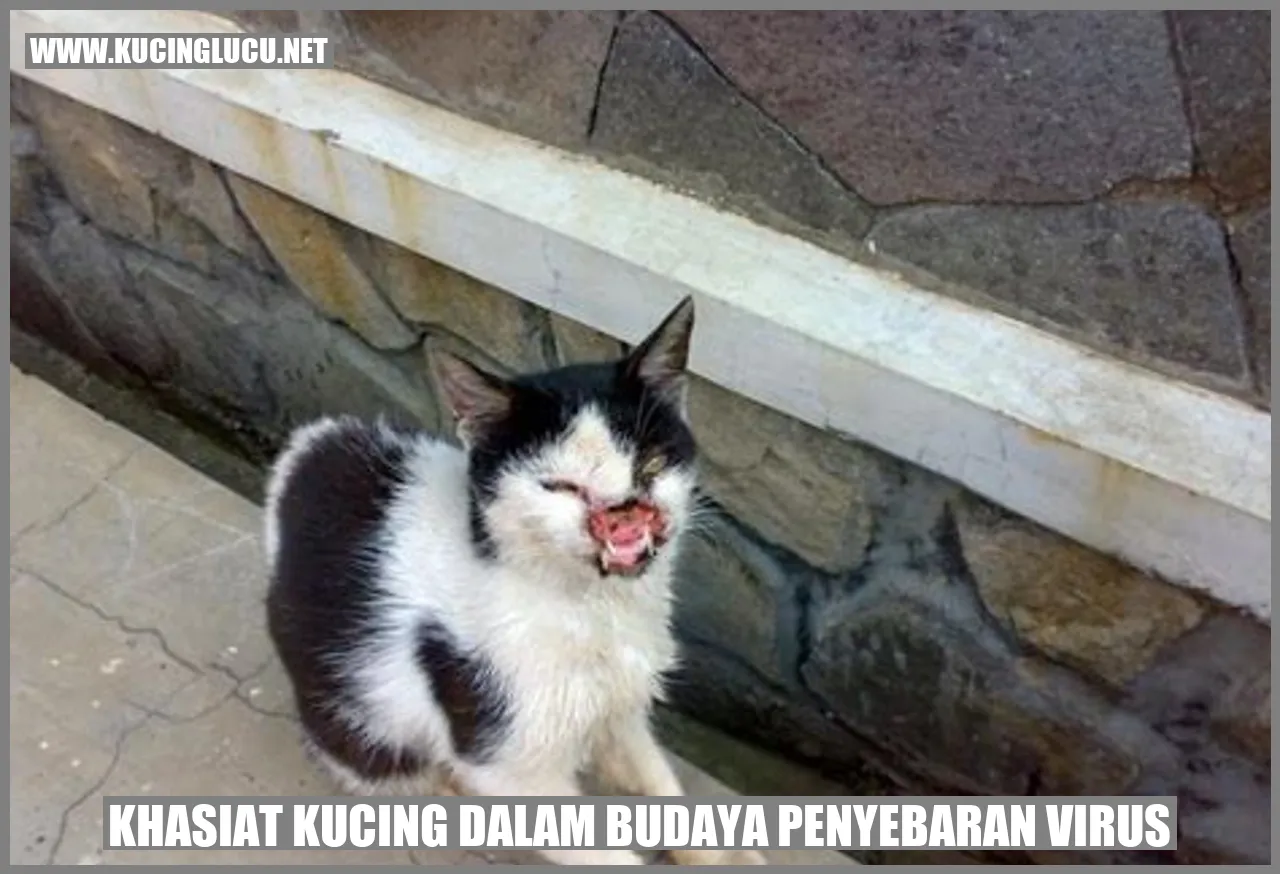 Kucing dalam Budaya Penyebaran Virus