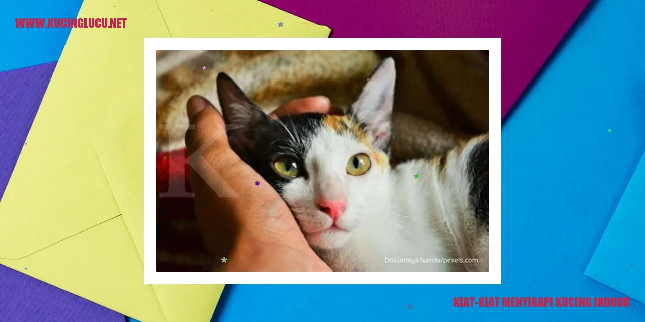 Kucing indoor