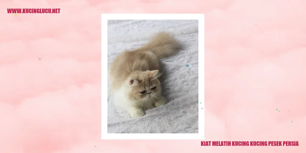 Kucing Pesek Persia