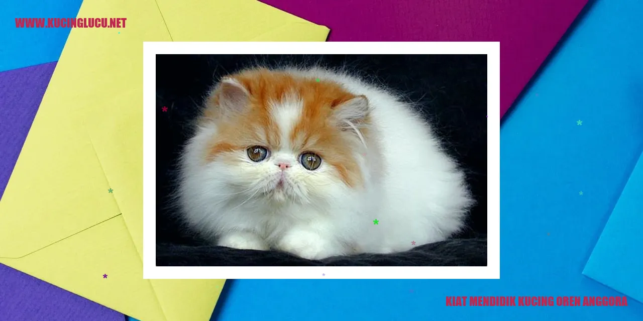 Kucing Anggora