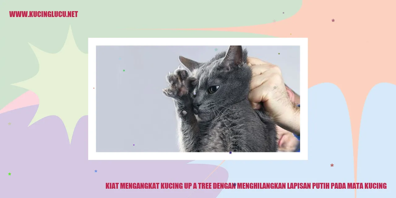 Ilustrasi Kucing dengan Selaput Putih pada Mata
