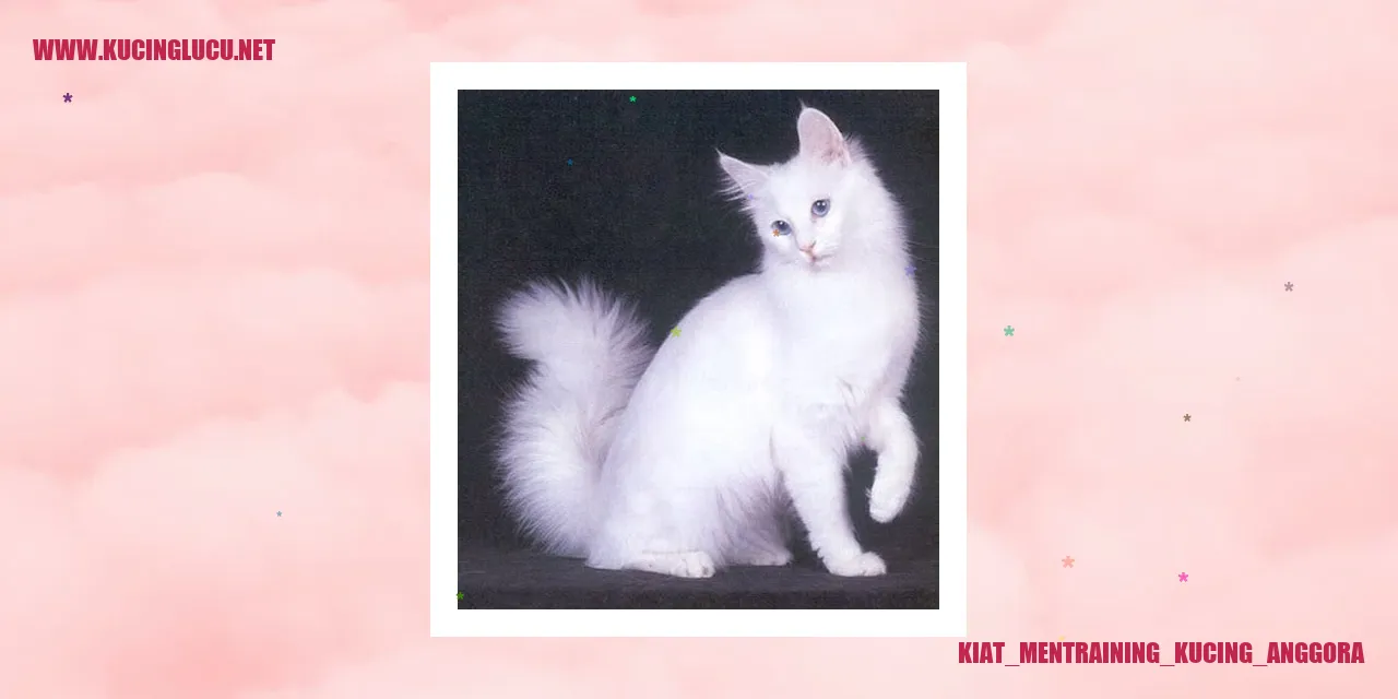 Kucing Anggora yang Menggemaskan
