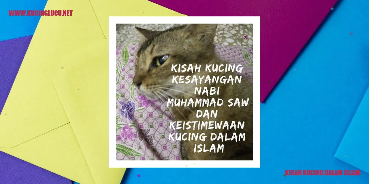 Sejarah Kucing dalam Islam