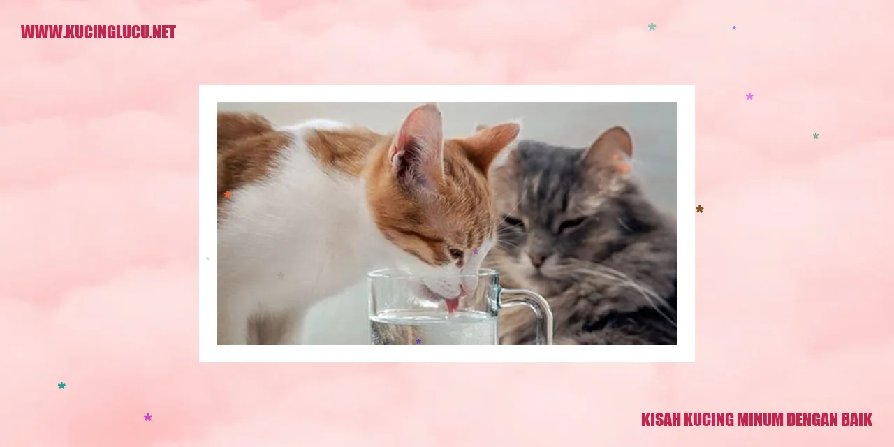 Gambar Kucing Meminum Air dari Mangkuk