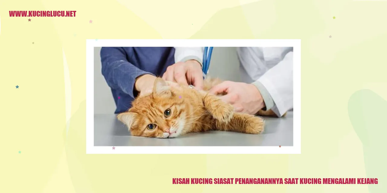 Sejarah Kucing Cara Mengatasi Kucing Kejang