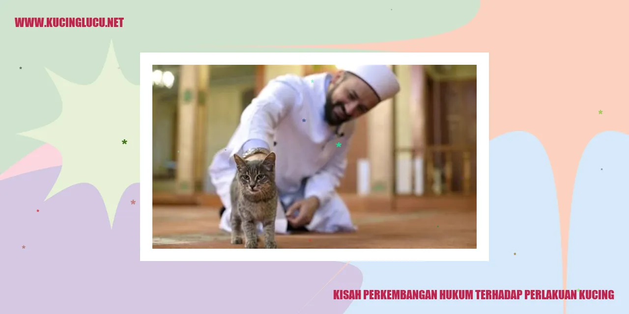 Kisah Perkembangan Hukum Terhadap Perlakuan Kucing