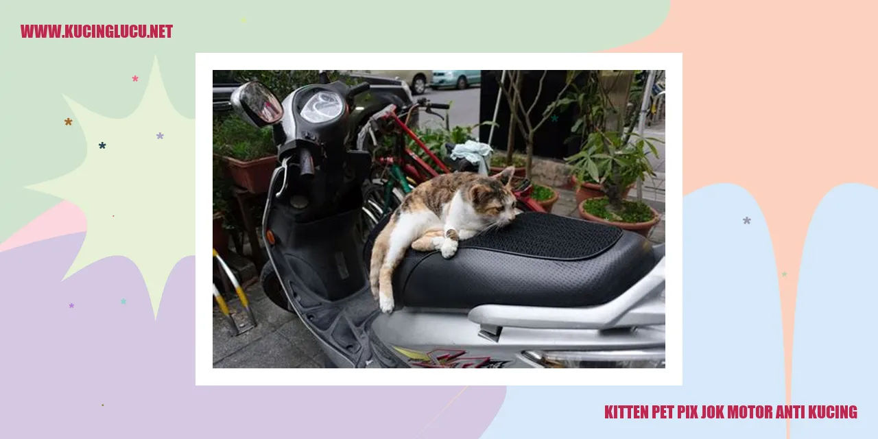 Kucing sebagai Binatang Kesayangan