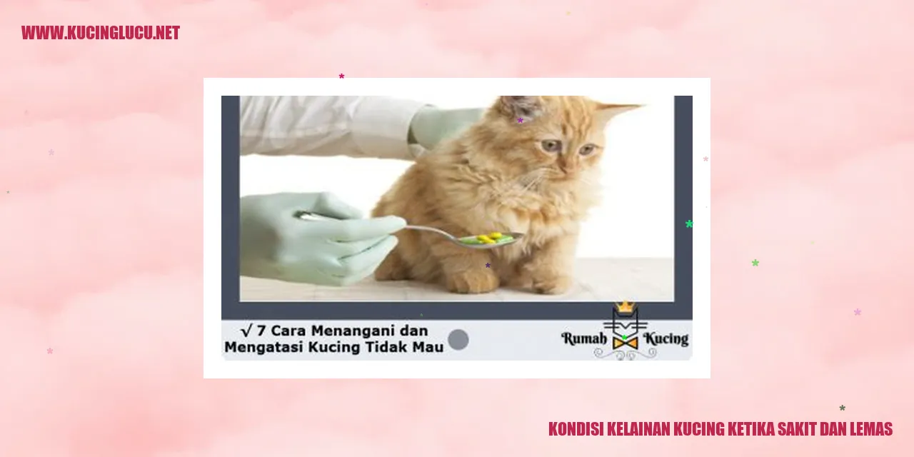 Kucing sedang sakit dan lemas