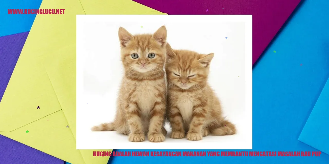Hewan Kesayangan Kucing