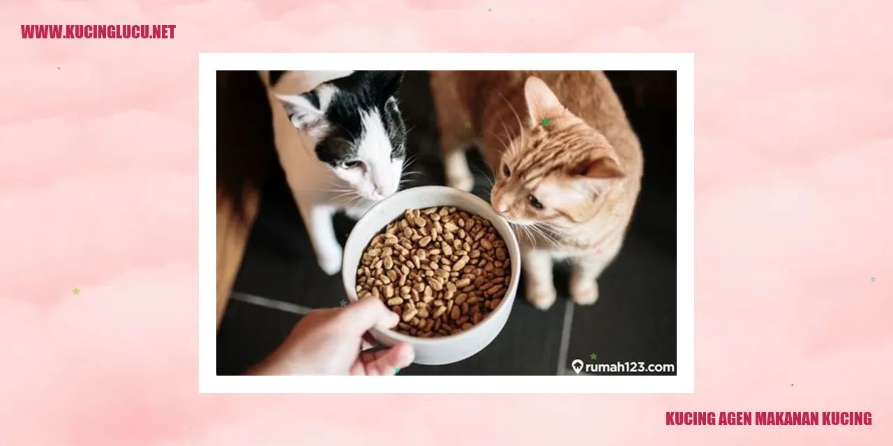 Kucing agen makanan kucing