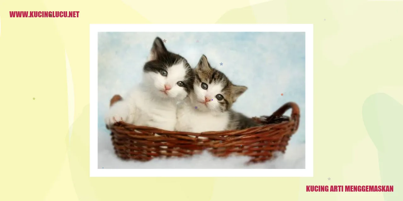 Foto menggemaskan kucing
