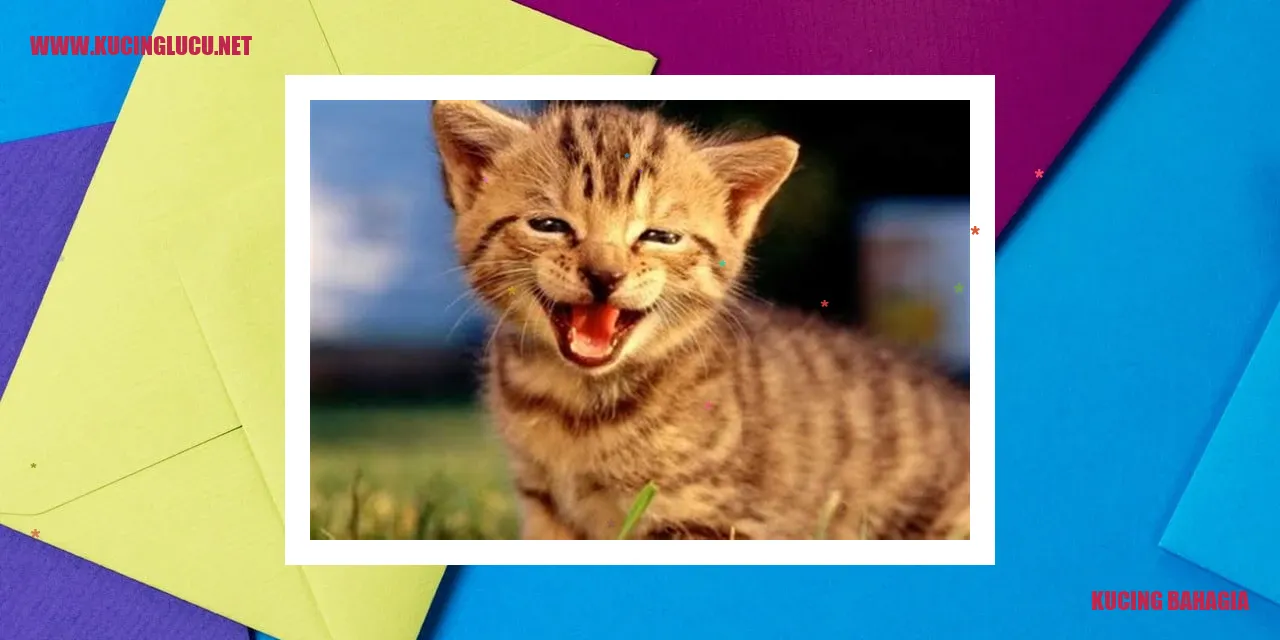 Gambar kucing yang bahagia